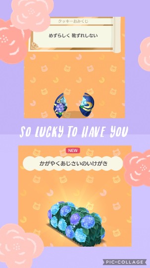 あつまれ‼︎雑談&amp;ゲーム好きの森　season２＃２　ｶｴﾙの歌が聞こえてくるよ〜♪♪