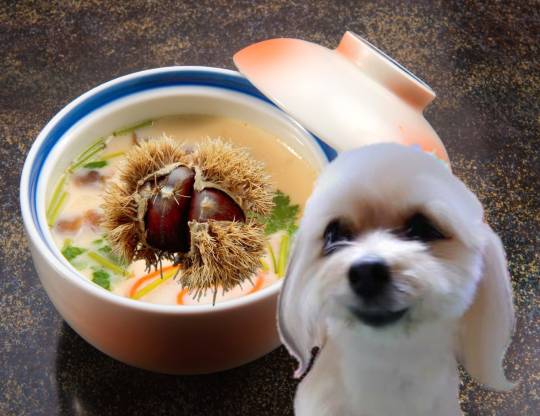 生き物ルーム第44