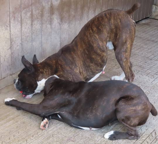 生き物ルーム第42