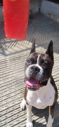 生き物ルーム第42