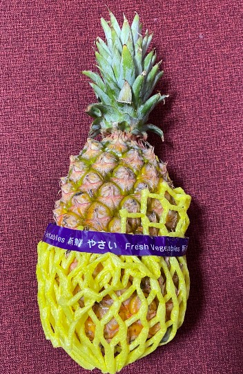 東海エリア界 No.ローーーック(６)