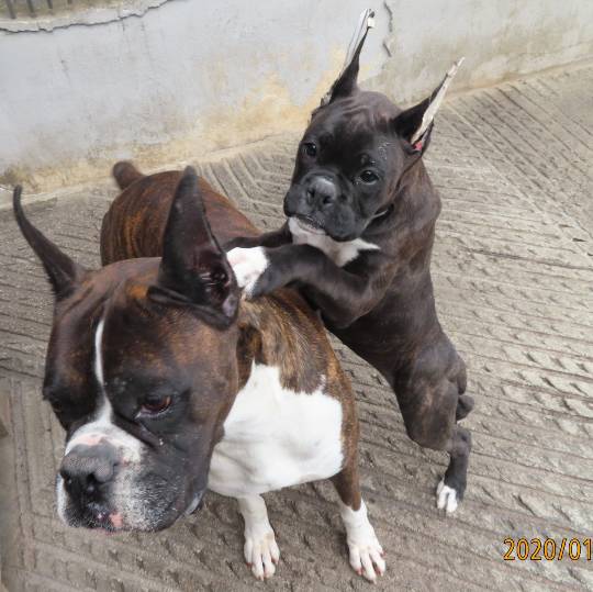 生き物ルーム第44