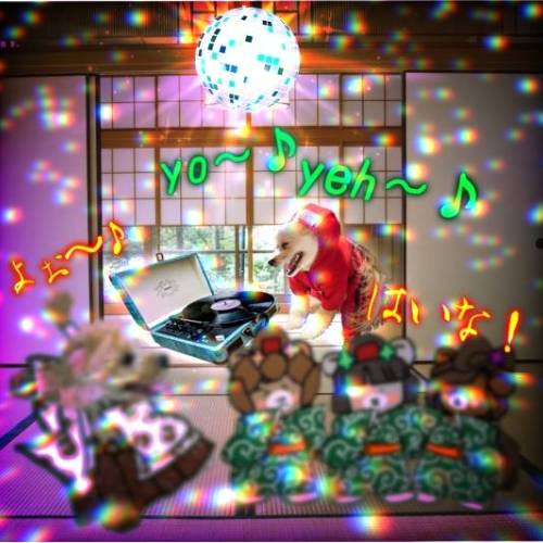 生き物ルーム第42