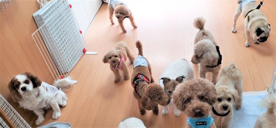 生き物ルーム第44