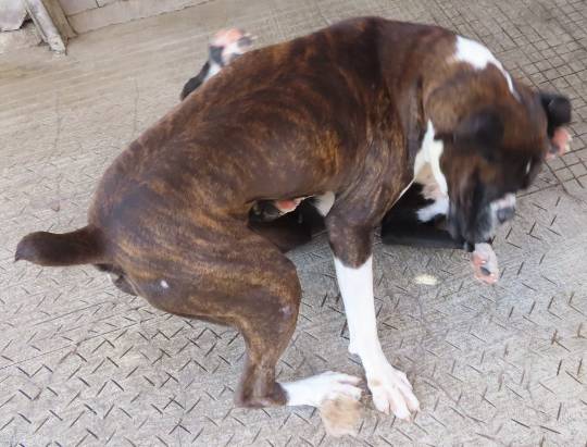 生き物ルーム第42