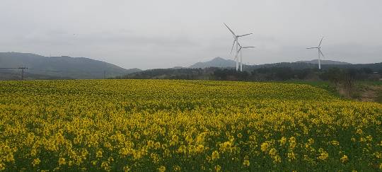 マスク同窓会詰所兼ニューフェイス歓迎所22