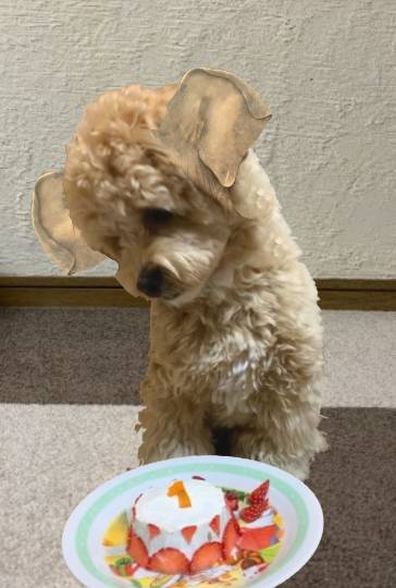 生き物ルーム第43