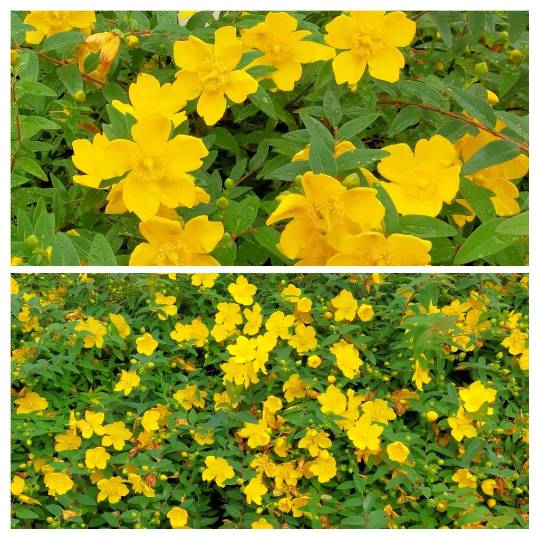 ★ドンキ♡♡ロピア 雑談32★