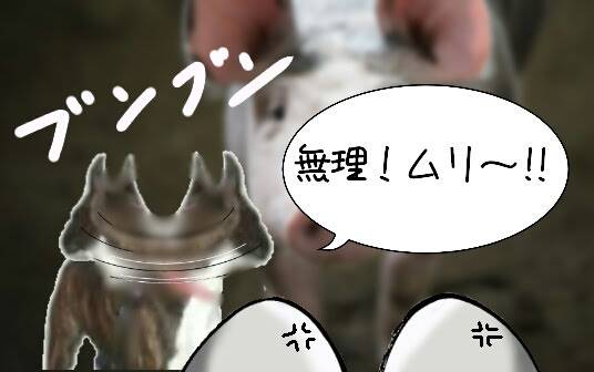 生き物ルーム第42