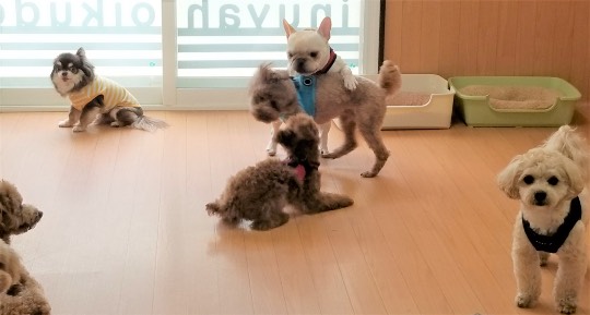 生き物ルーム第43