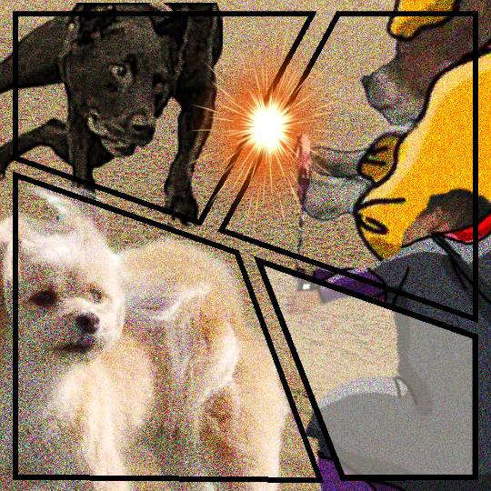 生き物ルーム第43