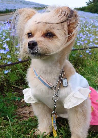 生き物ルーム第43