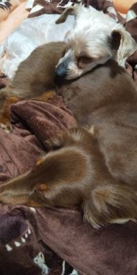 生き物ルーム第43