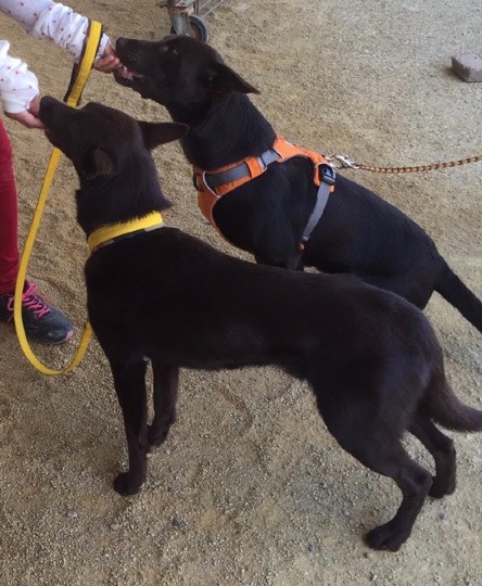 生き物ルーム第44