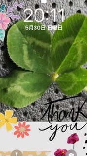 マスク同窓会詰所兼ニューフェイス歓迎所24(癒し所)