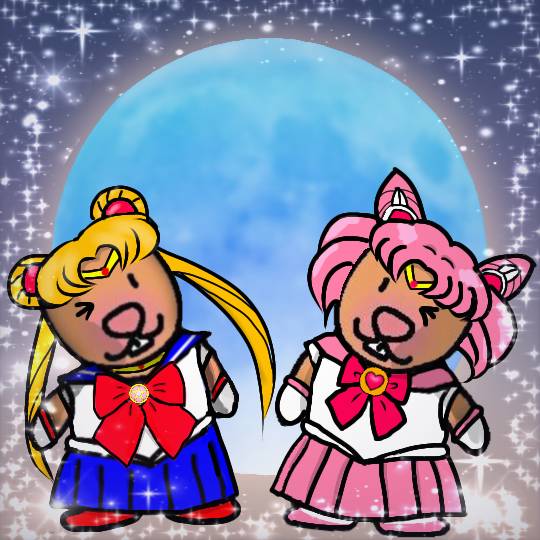 #雑談お絵描き部…ホーム❼