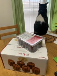 5月11日(火曜日)　中部空港倉庫店｜おはようございます。
洗濯機の調子が悪...