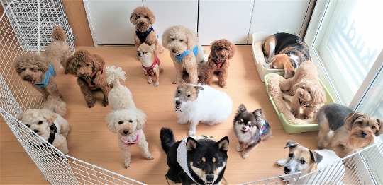 生き物ルーム第44