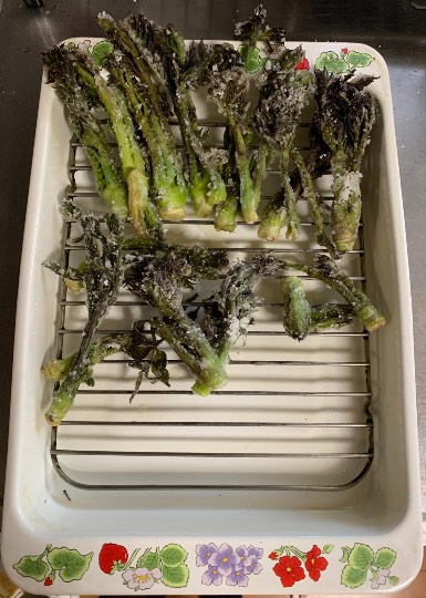 生き物ルーム第42