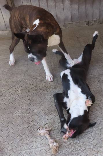 生き物ルーム第42