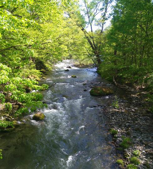 マスク同窓会詰所兼ニューフェイス歓迎所23