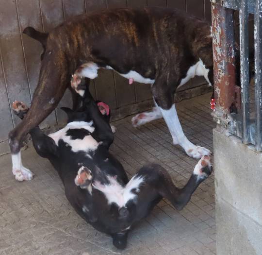 生き物ルーム第44