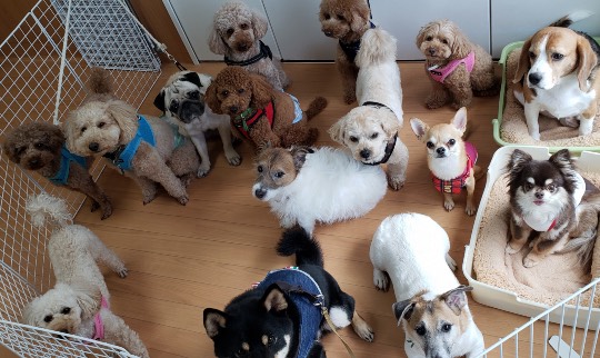 生き物ルーム第44