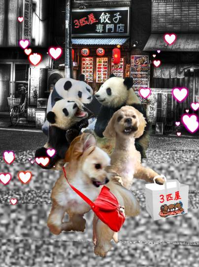 生き物ルーム第42