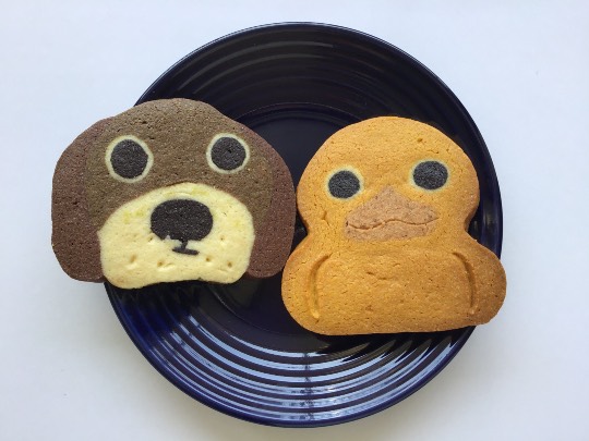 ★ドンキ♡♡ロピア 雑談28★