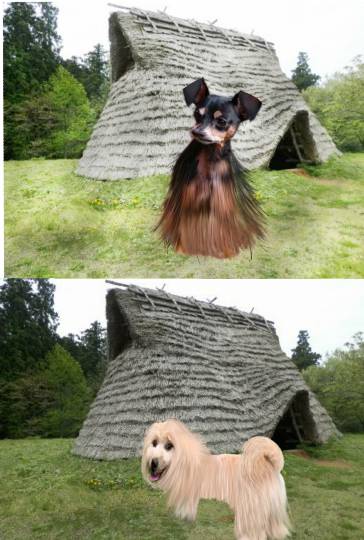 生き物ルーム第43