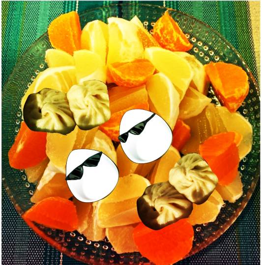 生き物ルーム第43