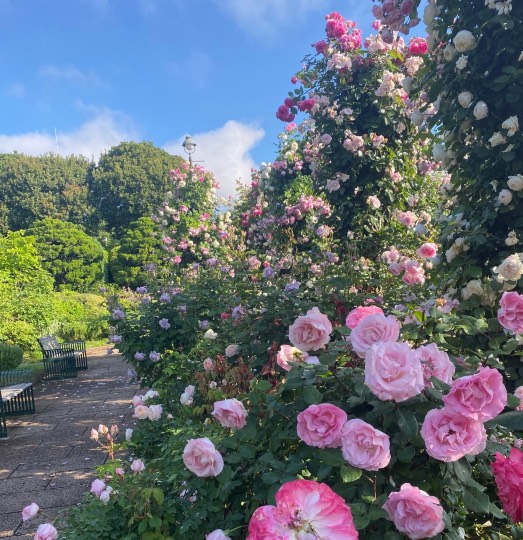 生き物ルーム第44