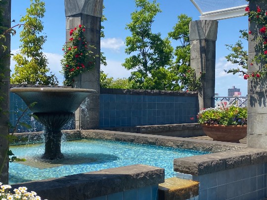 #雑談お絵描き部…ホーム❼