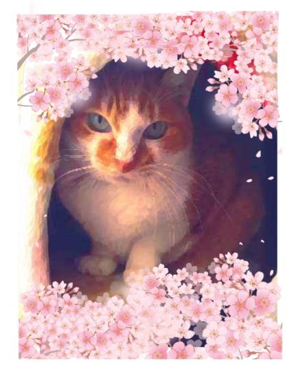 #雑談お絵描き部…ホーム❼