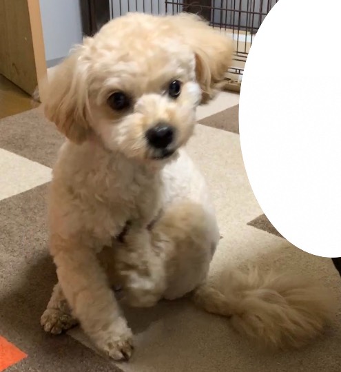 生き物ルーム第42