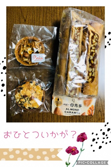 あつまれ‼︎ 雑談&ゲーム好きの森 season2 おしゃべりしよっさ♪♪