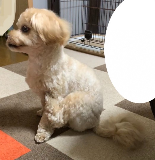 生き物ルーム第42