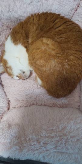 生き物ルーム第43