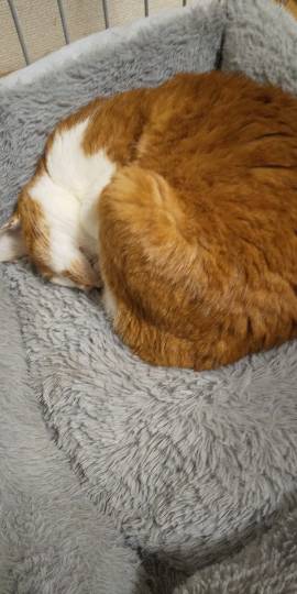 生き物ルーム第43