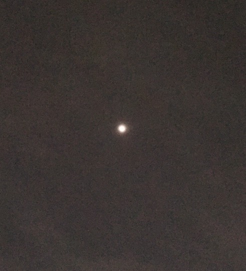 ★ドンキ♡♡ロピア 雑談33★