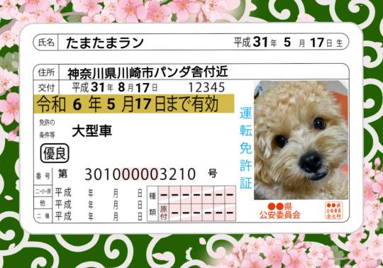 生き物ルーム第43