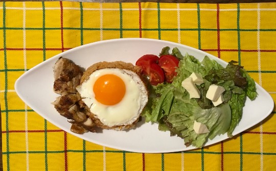 生き物ルーム第44