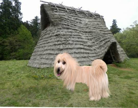 生き物ルーム第43