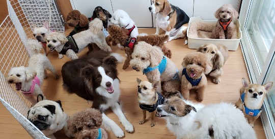 生き物ルーム第44