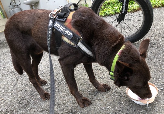 生き物ルーム第43