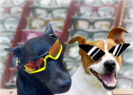 生き物ルーム第44