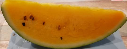 マスク同窓会詰所兼ニューフェイス歓迎所23