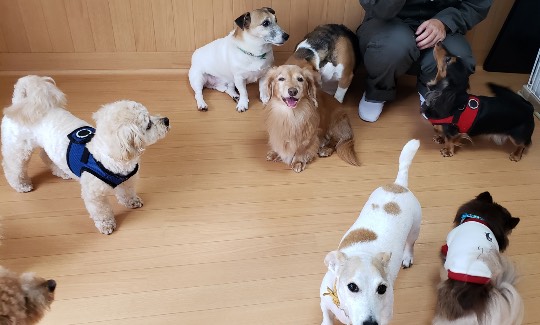 生き物ルーム第44