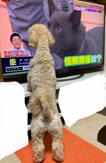 生き物ルーム第44