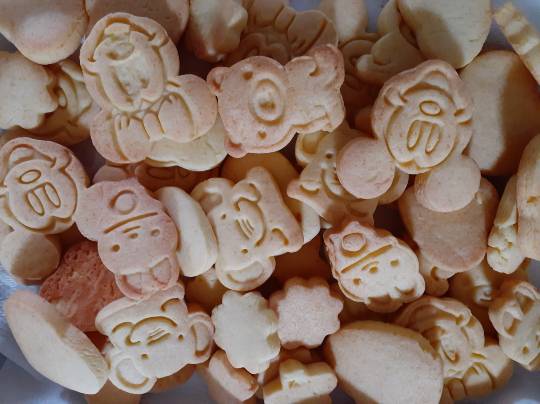 マスク同窓会詰所兼ニューフェイス歓迎所23